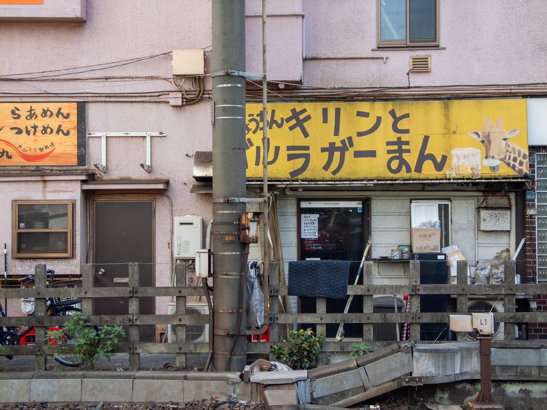 2008年発売 ネオ一眼 富士フイルム FinePix S100FS で撮るハッピー